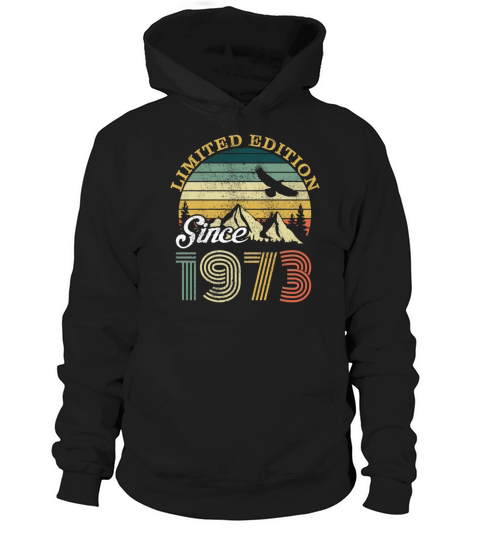 1973 Vintage born in Retro age Birthday gift idea Hoodie Unisex