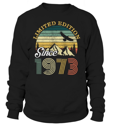 1973 Vintage born in Retro age Birthday gift idea Sweatshirt Unisex