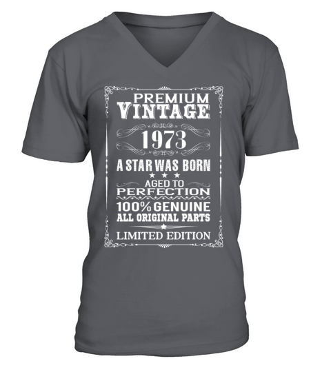 PREMIUM VINTAGE 1973 V-Neck T-shirt
