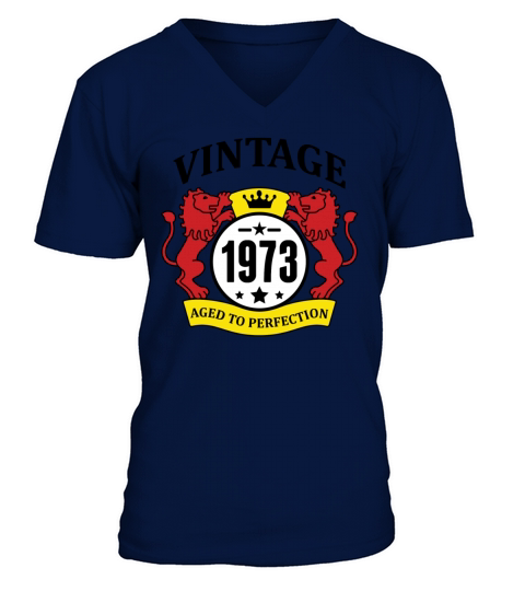 Vintage 1973 Aged to Perfection V-Neck T-shirt