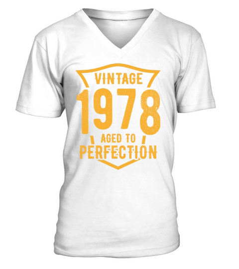 Vintage 1978 Aged To Perfection 45th Birthday V-Neck T-shirt