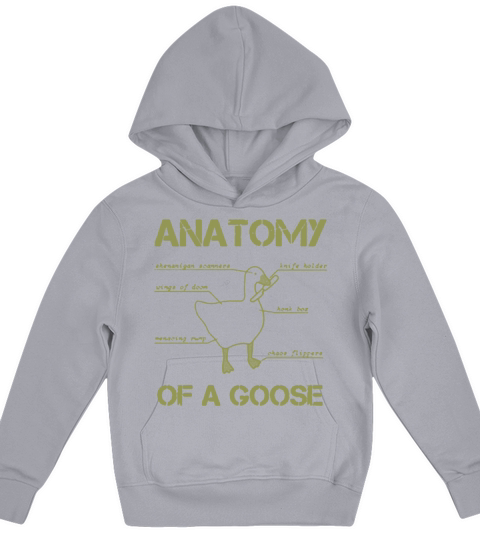Anatomy of A Goose Funny Duck Graphic Meme Vintage Kids Hoodie