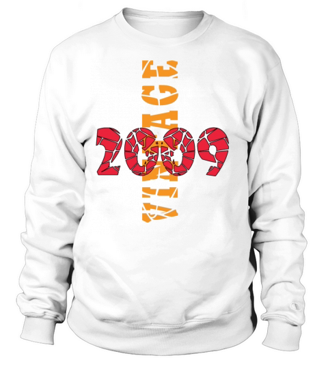 Vintage 14th Birthday 2009 Sports Gift Sweatshirt Unisex