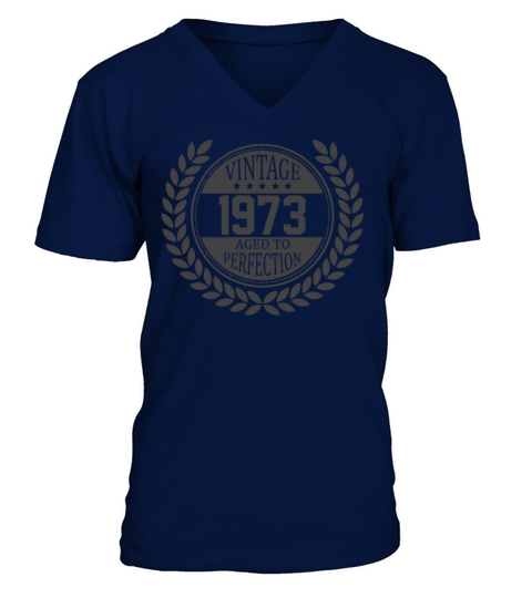 Vintage 1973 Aged To Perfection V-Neck T-shirt