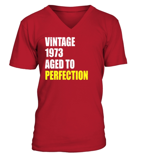 Vintage 1973 aged to perfection 48 birthday gift V-Neck T-shirt