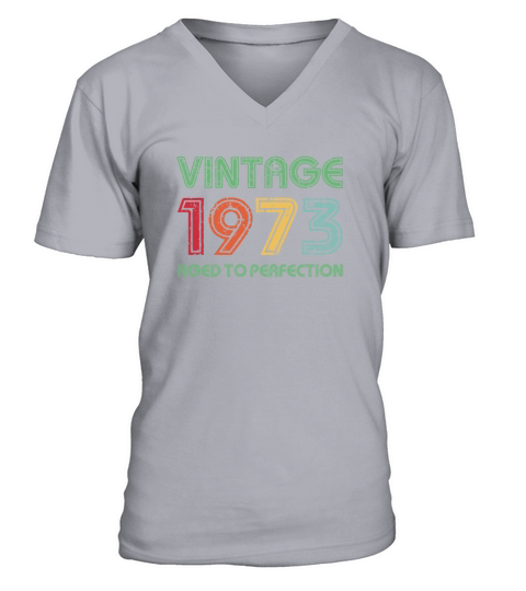 Vintage 1973 Aged To Perfection 48th Birthday Gift V-Neck T-shirt