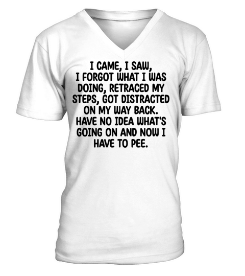 I Came I Saw I Forgot What I Was Doing Retraced V-Neck T-shirt