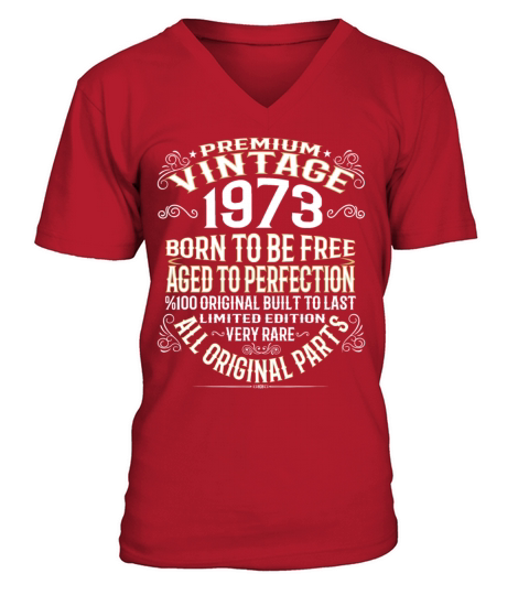 PREMIUM VINTAGE 1973 V-Neck T-shirt
