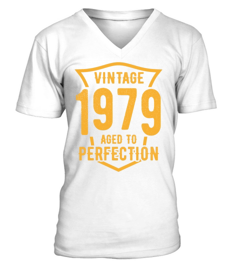 Vintage 1979 Aged To Perfection 44th Birthday V-Neck T-shirt