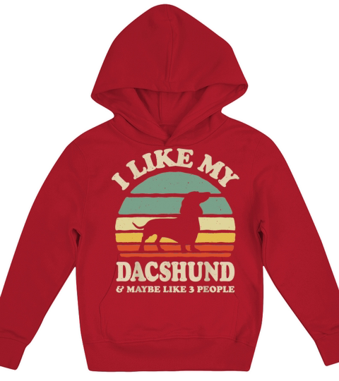 I Like My Dashshund And Maybe Like 3 People Kids Hoodie