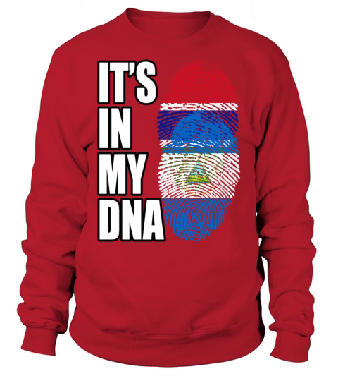 Gambian And Nicaraguan Mix Heritage DNA Flag Sweatshirt Unisex