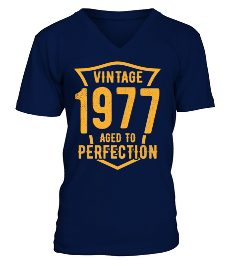 Vintage 1977 Aged To Perfection 46th Birthday V-Neck T-shirt