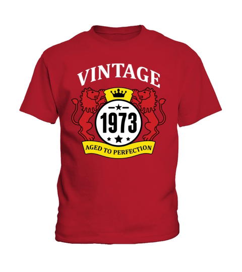 Vintage 1973 Aged to Perfection Kids T-Shirt