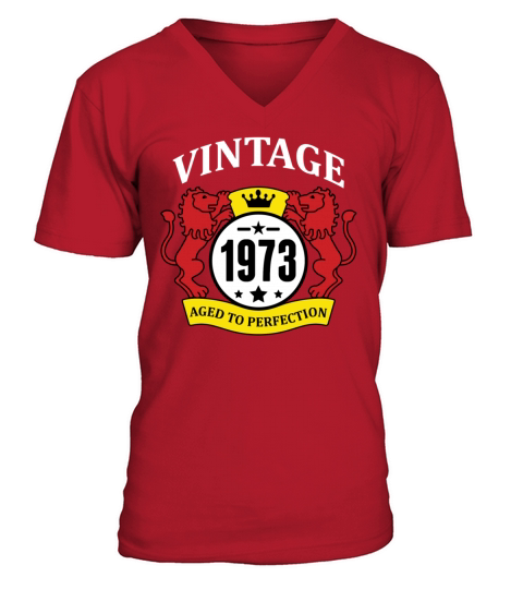Vintage 1973 Aged to Perfection V-Neck T-shirt