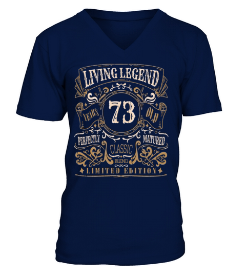 Retro Vintage Birth Whiskey Age 73 Years Old V-Neck T-shirt