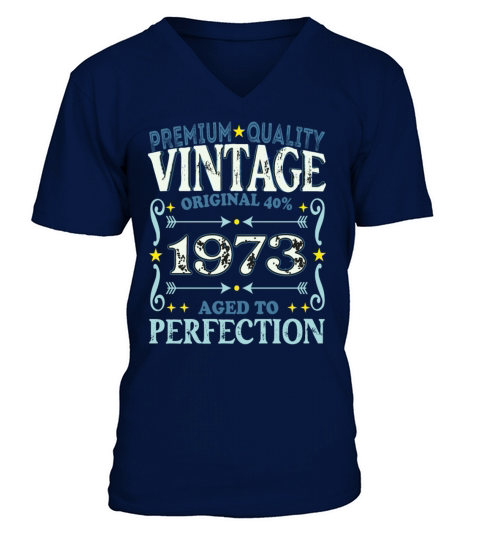 Vintage 1973 Birth Year Funny Birthday Gift V-Neck T-shirt