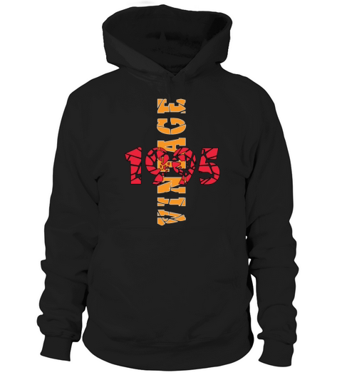 1995 Vintage Birthday Present Hoodie Unisex