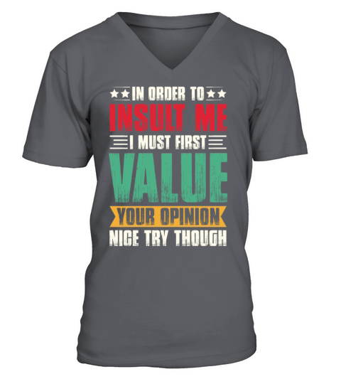 In Order To Insult Me I Must Value Your Opinion V-Neck T-shirt