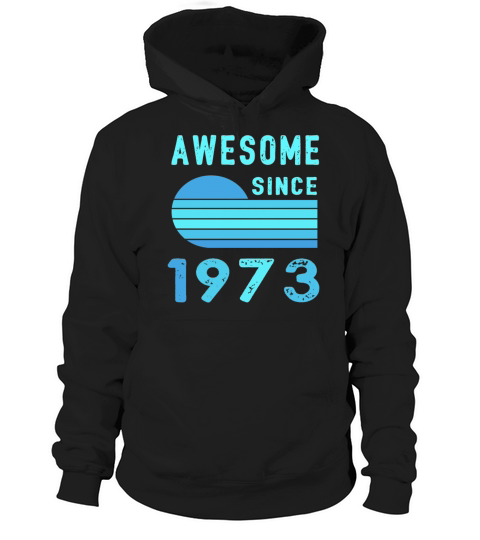 1973 Birthday Retro Vintage Gift vintage Hoodie Unisex