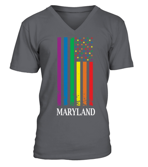 Maryland Pride Month Pride Flag LGBT Community LGB V-Neck T-shirt