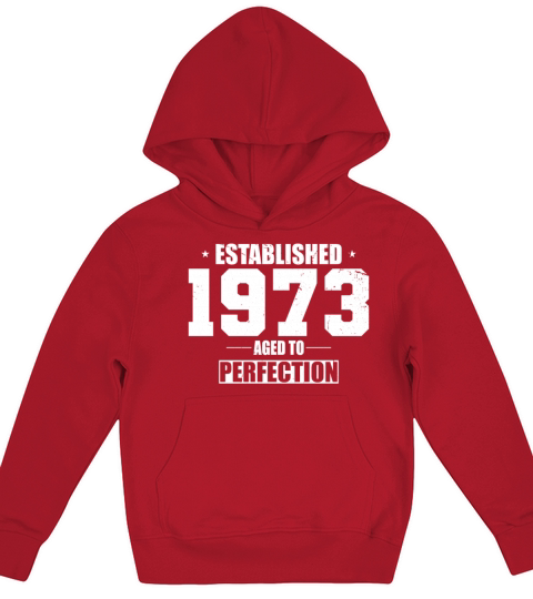 50th birthday vintage 1973 established 1973 Kids Hoodie