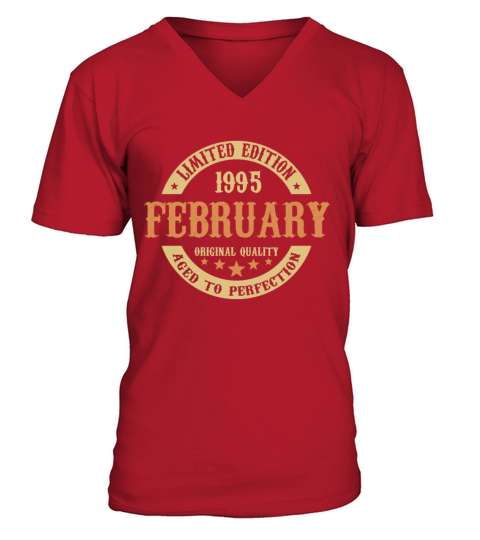 February 1995 Vintage Birthday Present V-Neck T-shirt