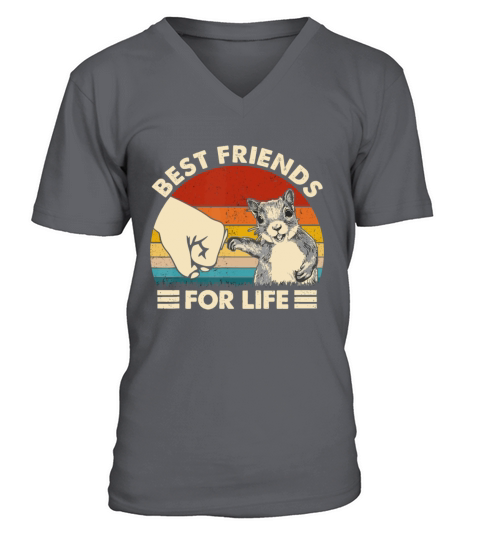 Retro Vintage Squirrel Best Friend For Life Fist B V-Neck T-shirt