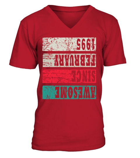 1995 Vintage Birthday Present V-Neck T-shirt