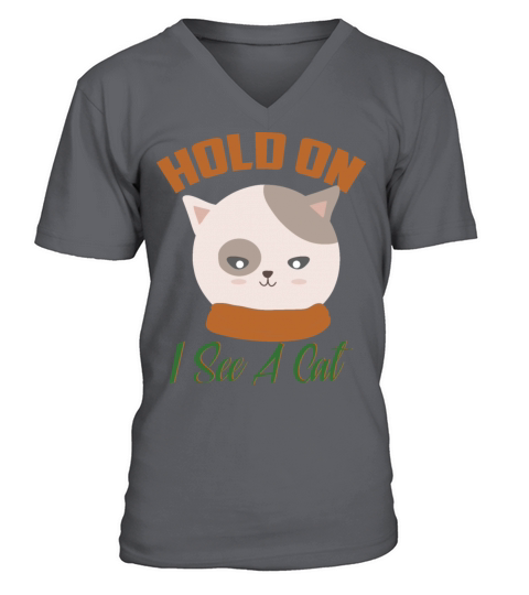 Hold On I See A Cat Vintage Cat Mom Kitten V-Neck T-shirt