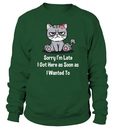 I Got Here as Soon as I Wanted To Sarcastic Funny Sweatshirt Unisex