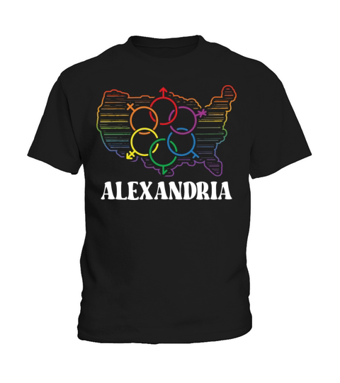 Alexandria Pride Month Pride Flag LGBT Community L Kids T-Shirt