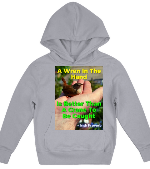 Irish Proverb - A Wren In The Hand Is Better Than Kids Hoodie