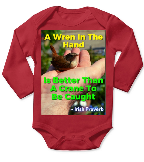 Irish Proverb - A Wren In The Hand Is Better Than Long Sleeve Baby One-Piece