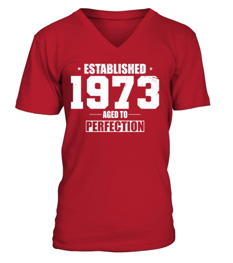 50th birthday vintage 1973 established 1973 V-Neck T-shirt