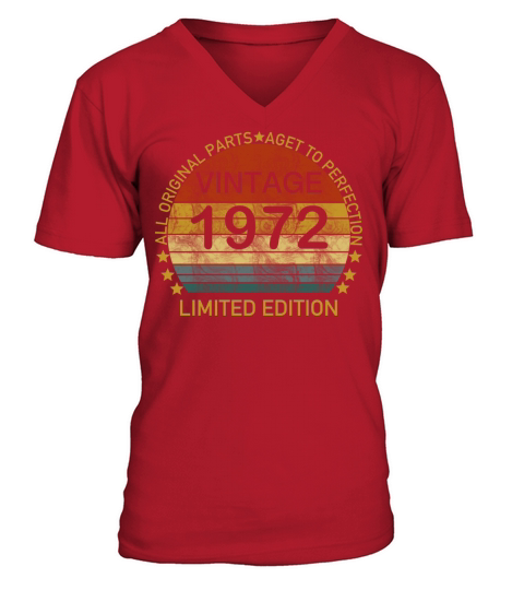 Vintage 1972 V-Neck T-shirt