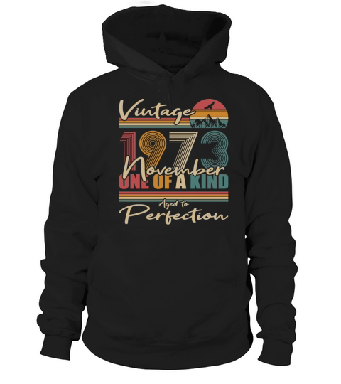 50th birthday november 1973 vintage 1973 Hoodie Unisex