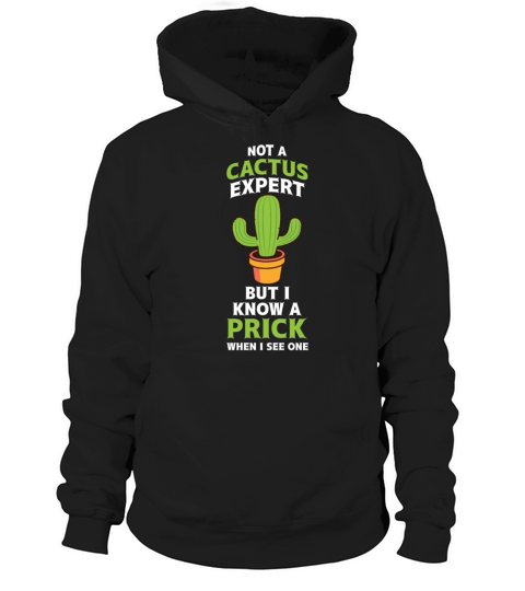 Not A Cactus Expert Anti Valentines Day Prick Fun Hoodie Unisex