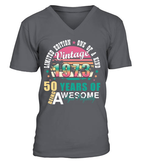 Vintage 1973 50th Birthday Retro Men Women V-Neck T-shirt