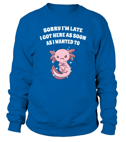 I Got Here as Soon as I Wanted To Sarcastic Funny Sweatshirt Unisex