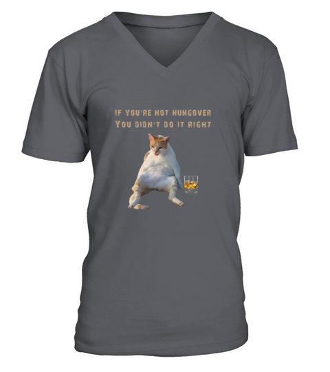Funny Drinker saying Cat lovers V-Neck T-shirt