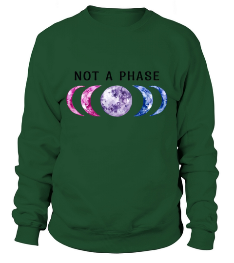 Bi Pride Not A Phase Bisexual LGBT Pride Sweatshirt Unisex