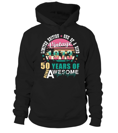 Vintage 1973 50th Birthday Retro Men Women Hoodie Unisex