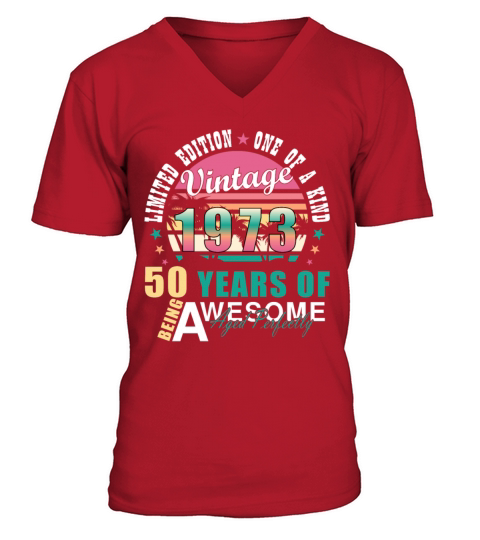Vintage 1973 50th Birthday Retro Men Women V-Neck T-shirt