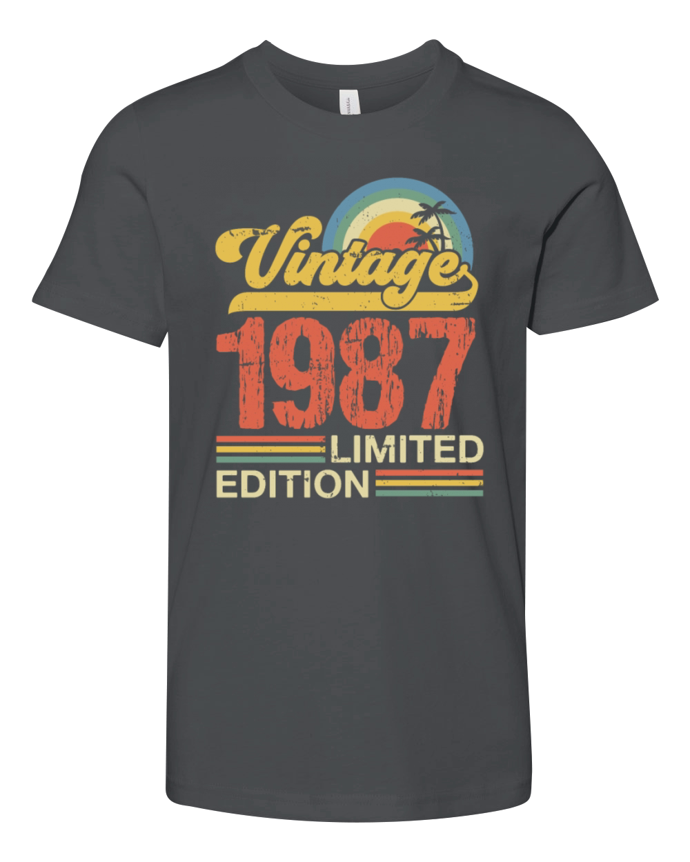 Retro Vintage 1987 Limited Edition Youth Unisex Jersey Tee