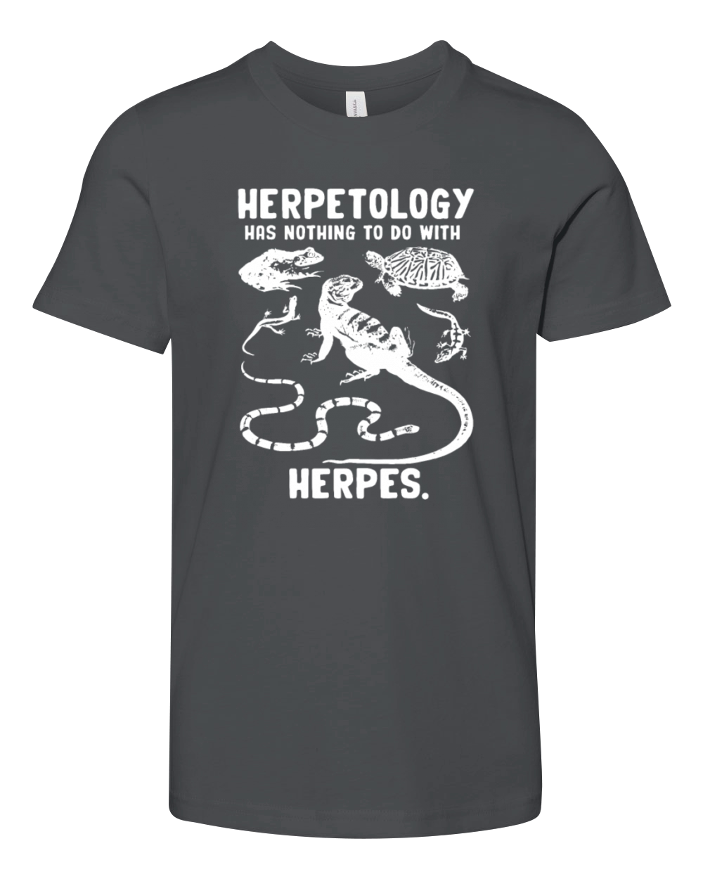 Herpetology Has Nothing To Do With Herpes Youth Unisex Jersey Tee