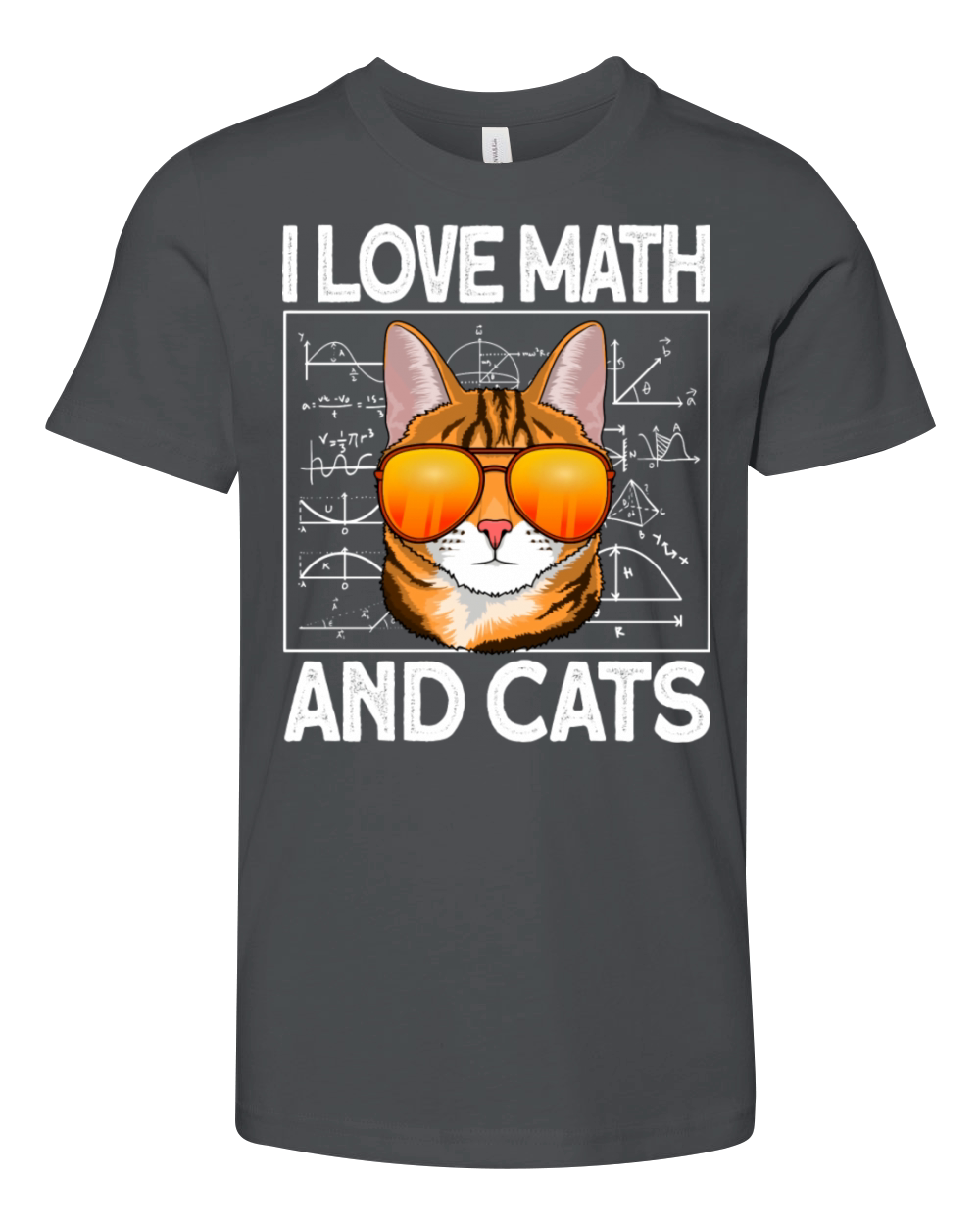 I Love Math And Cats Mathematics Math Gift Youth Unisex Jersey Tee