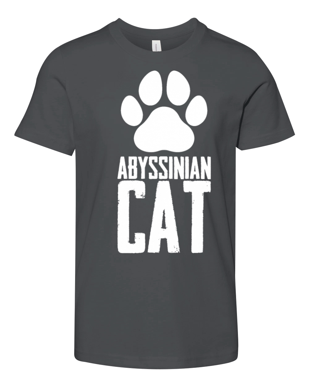 Abyssinian cat Youth Unisex Jersey Tee