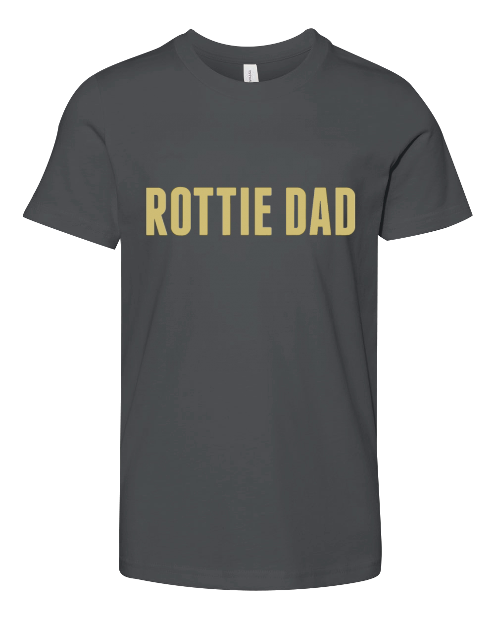 Rottie Dad Rottweiler Dog Vintage Retro Sunset Bea Youth Unisex Jersey Tee