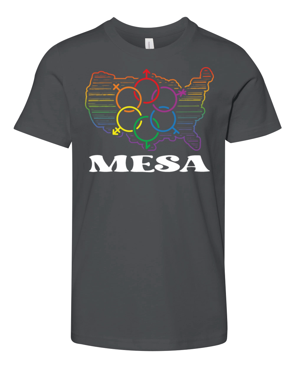Mesa Pride Month Pride Flag LGBT Community LGBTQ F Youth Unisex Jersey Tee