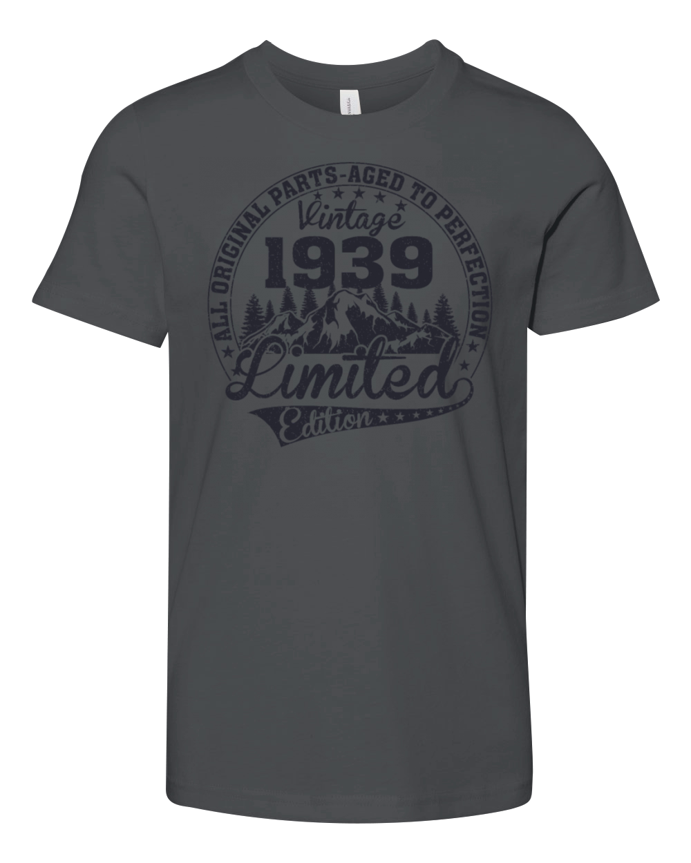 PREMIUM VINTAGE 1939 Youth Unisex Jersey Tee